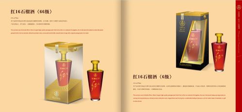 五糧液紅酒品牌策劃與營銷推廣方案 借勢名酒基因，開拓品質(zhì)紅酒新藍(lán)海